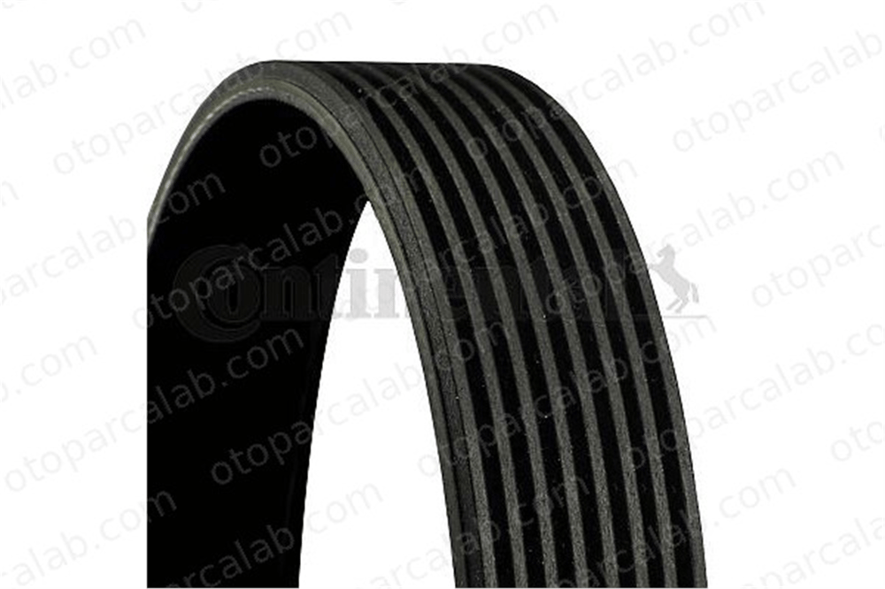 CONTINENTAL 8PK1478 Vantilatör Kayışı MAN F90 TGS I 8PK1478 11287589365