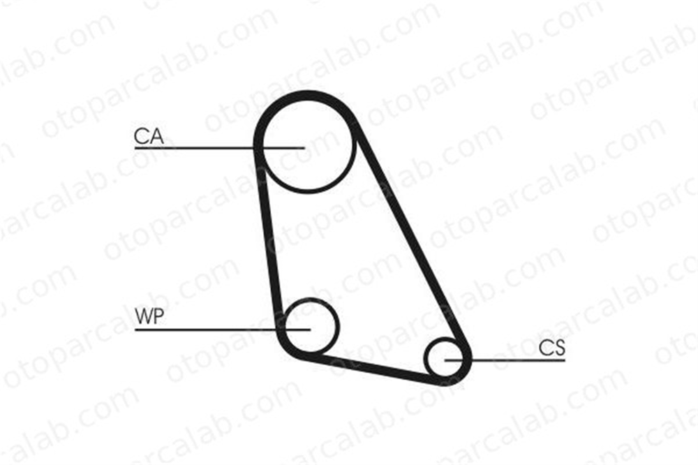 CONTINENTAL CT534 Triger Kayışı SEAT TERRA TERRA Kombi van 31109119D 031109119D