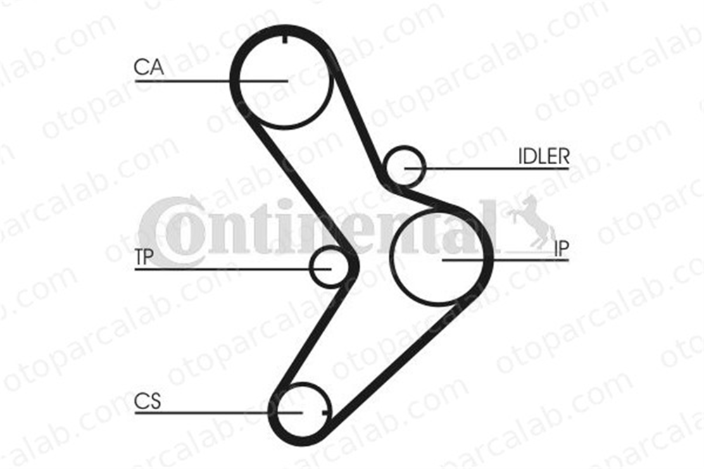 CONTINENTAL CT731 Triger Kayışı FIAT DUCATO Panelvan/Van DUCATO Panorama 4720777 5000814593