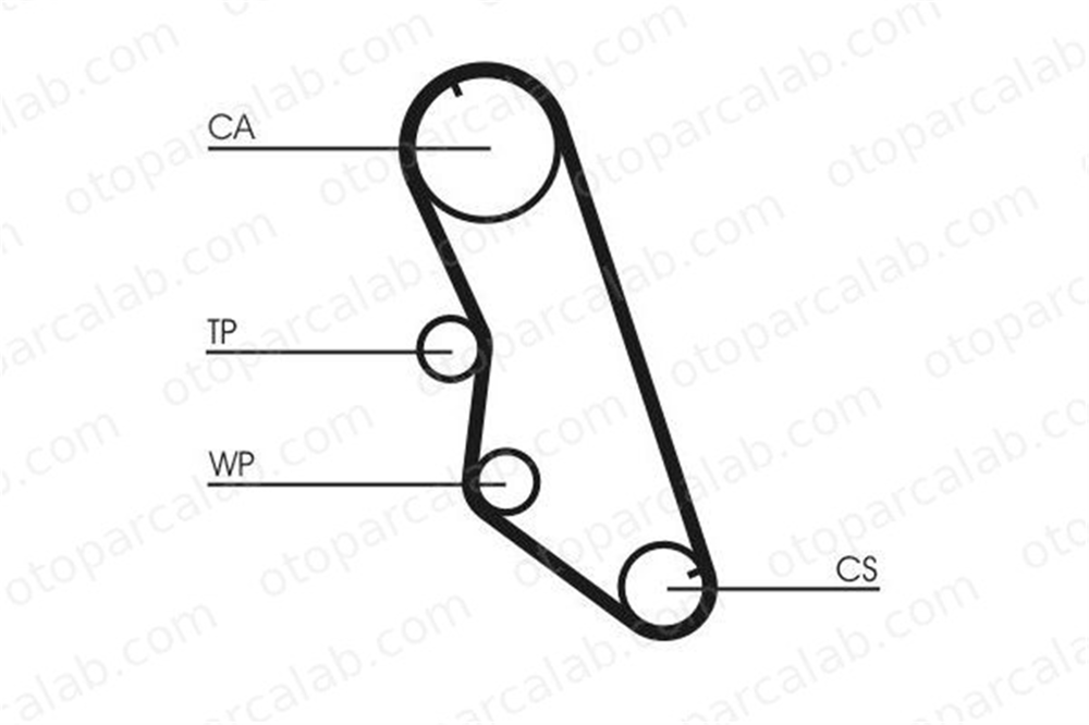 CONTINENTAL CT754WP2 Triger Kayış Seti CITROËN XM XM Break 1611898180 81671
