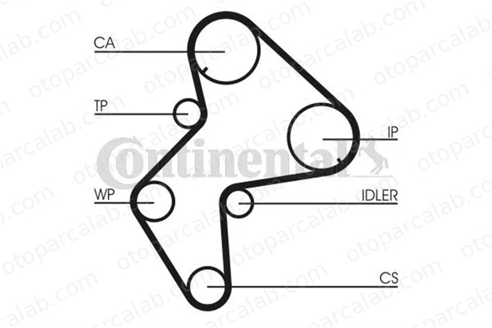 CONTINENTAL CT775 Triger Kayışı FORD SIERRA II Hatchback CITROËN XM Break 81653 0816.53