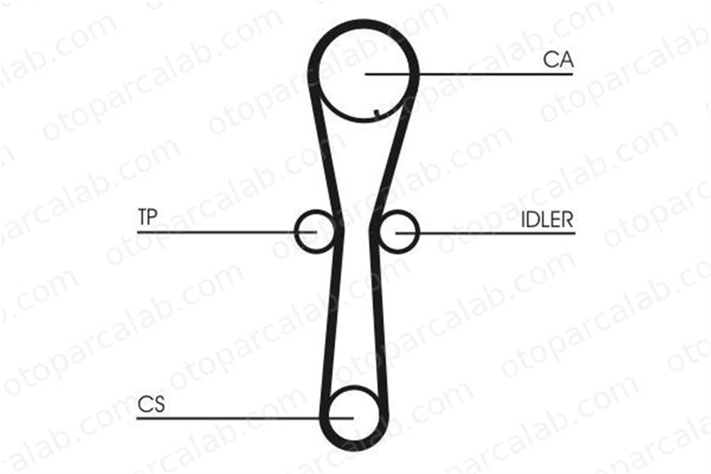 CONTINENTAL CT954 Triger Kayışı HONDA CIVIC VI Fastback MG MG ZS 14400P5TG00 GTB2003