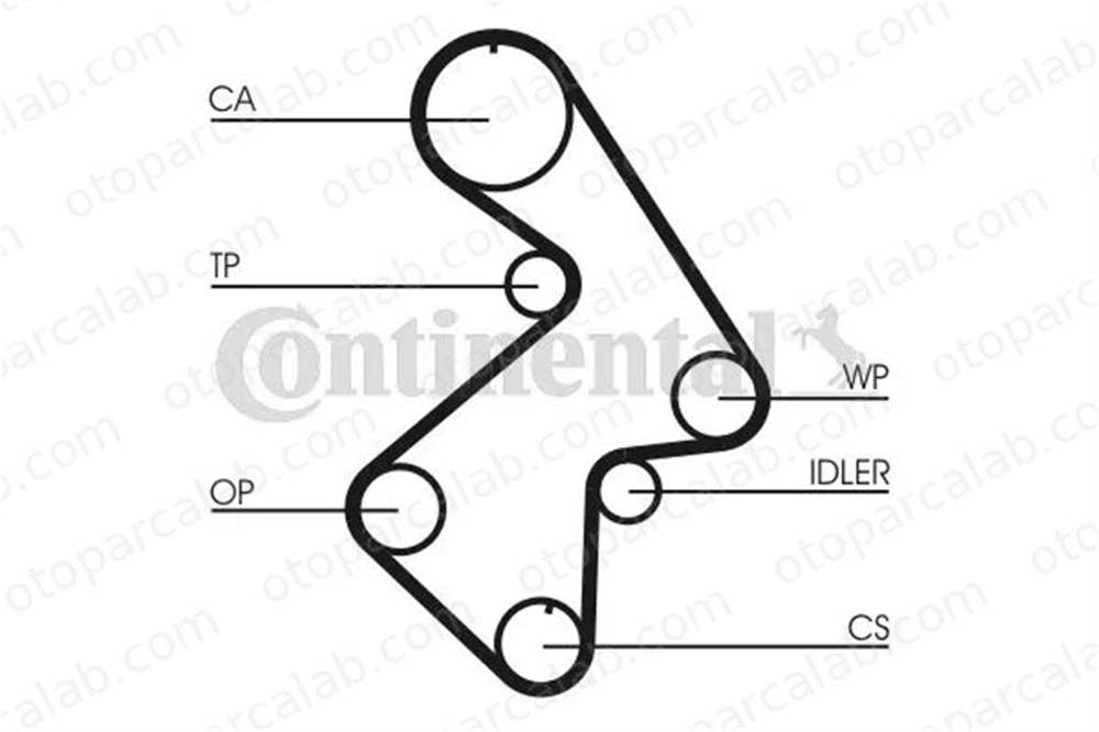 CONTINENTAL CT998 Triger Kayışı TOYOTA CAMRY CAMRY Station wagon 13568 79095