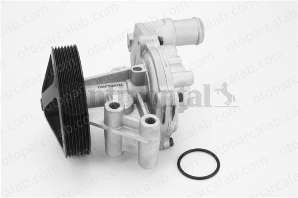 CONTINENTAL WPS3081 Devirdaim Su Pompası FORD TRANSIT V363 Panelvan/Van TRANSIT V363 Platform şasi BK3Q8A558CC LR071294