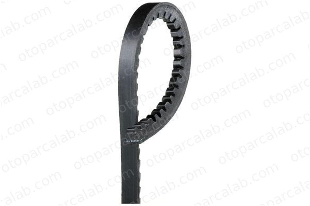 DAYCO 10A0875HD Vantilatör Kayışı OPEL REKORD E REKORD E Station wagon 5000297760 720500110