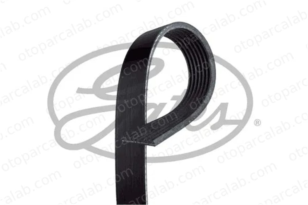 DAYCO 7PK1710 Vantilatör Kayışı RENAULT KOLEOS I LAGUNA III 252124A650 11720JD700
