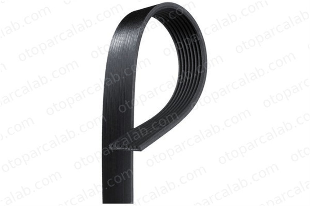 DAYCO 8PK1660HD Vantilatör Kayışı FORD Cargo CARGO II CC468620AA 3669970192