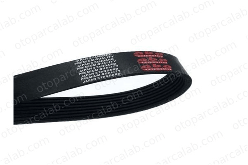 DAYCO 8PK1925HD Vantilatör Kayışı MAN TGS I TGX I 51968200273 51968200345