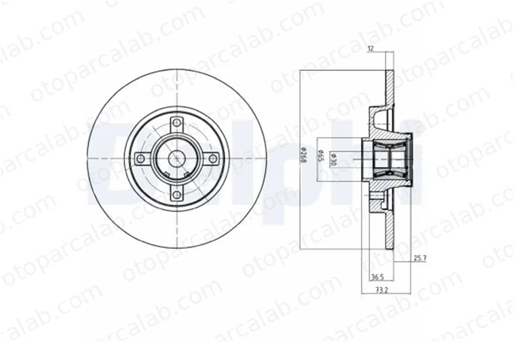 DELPHI BG9053RS Fren Disk Ayna Arka Sağ ve Sol PEUGEOT 308 SW I CITROËN BERLINGO Kasa/büyük limuzin 424945 1611840880
