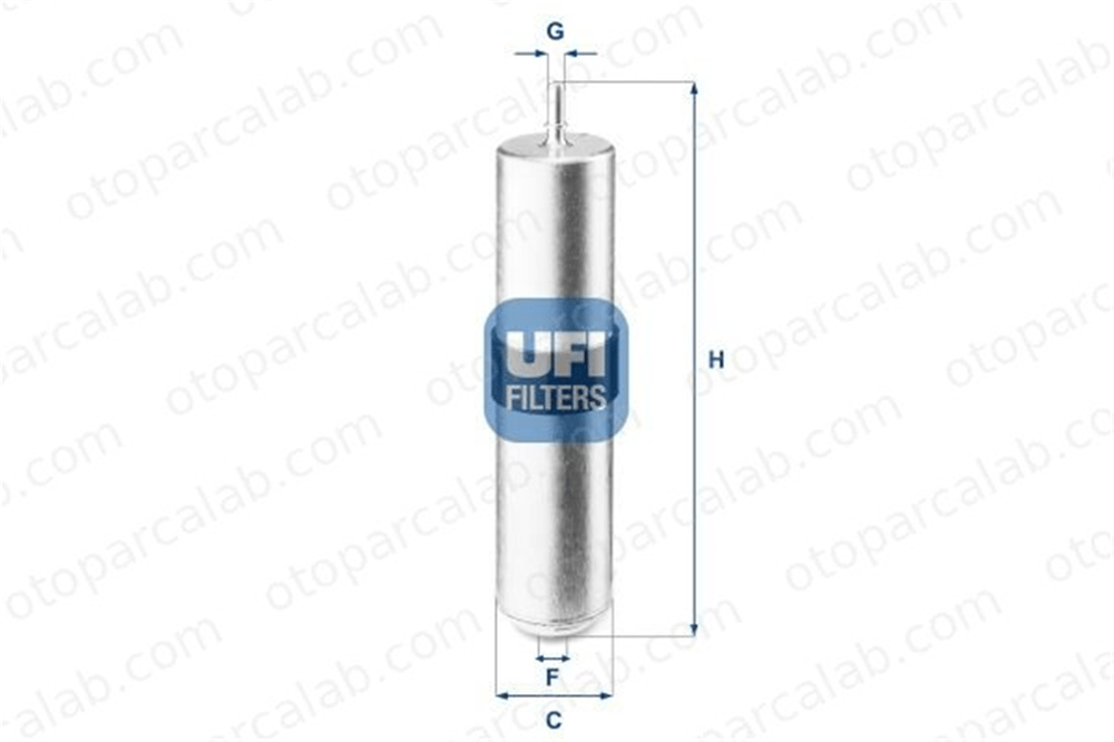 DELPHI DF696 Yakıt Filtresi BMW X2 X1 13328584868 13328514121
