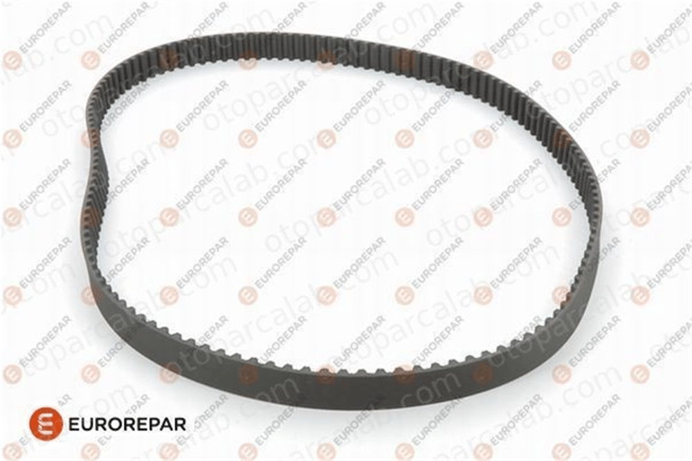 EUROREPAR E117129 Triger Kayışı FORD C-MAX FOCUS II 816G7 0816G7