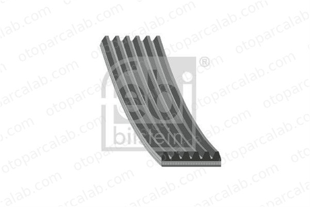FEBI BILSTEIN 28920 Vantilatör Kayışı VW GOLF V PEUGEOT 405 I 36145933AJ 036145933AJ