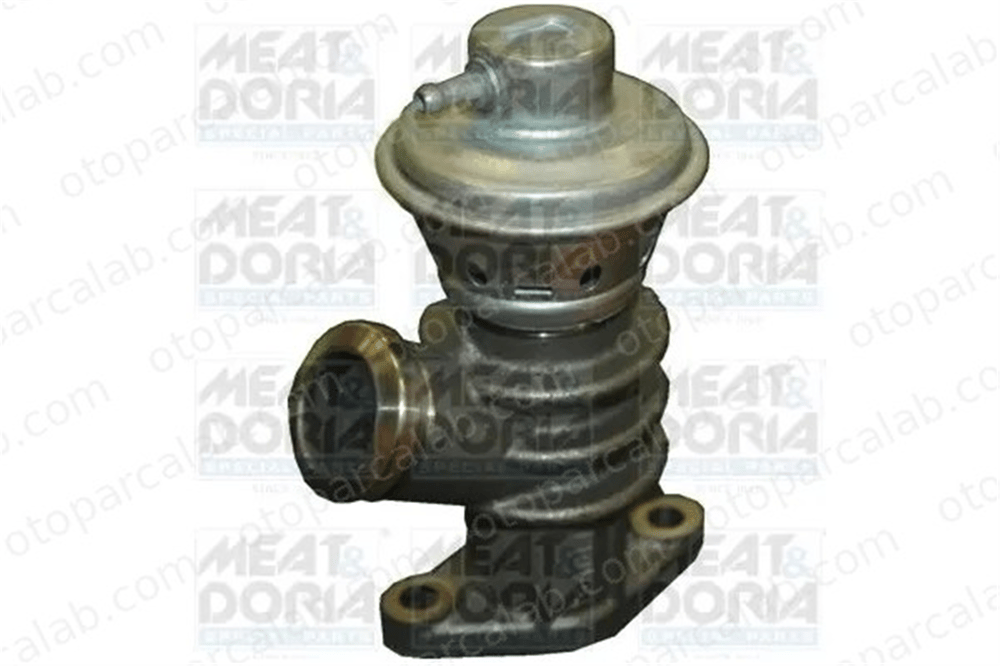 FIAT ORJINAL 55179511 Egr Valfi CITROËN C5 I C5 I Break 1618Q0 71788570