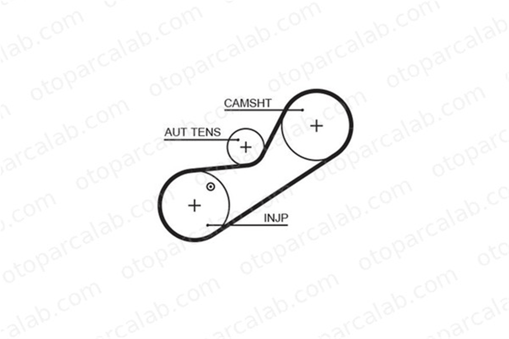 GATES 5546XS Triger Kayışı MG MG ZR MG ZS MVF100040 GTB2019XS