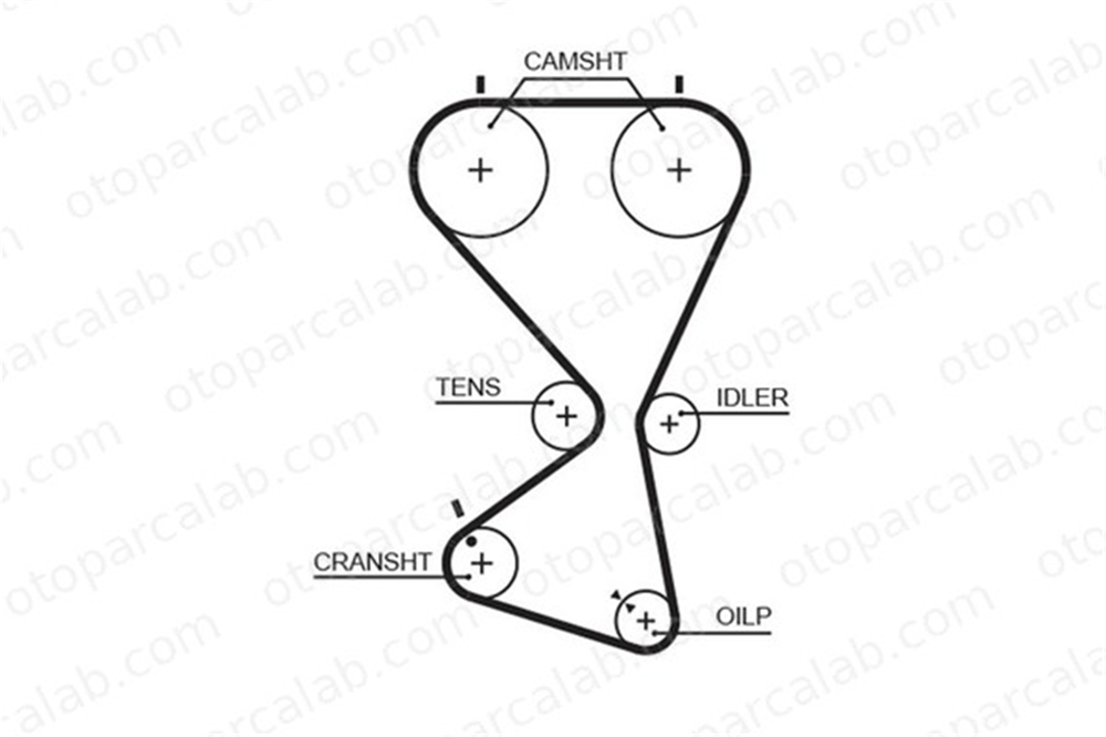 GATES 5556XS Triger Kayışı HYUNDAI SONATA IV TRAJET 2431238010 2431238020