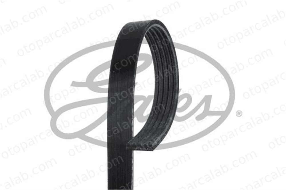 GATES 5PK880 Vantilatör Kayışı SUBARU IMPREZA Sedan IMPREZA Station wagon 12634322 5750Q7