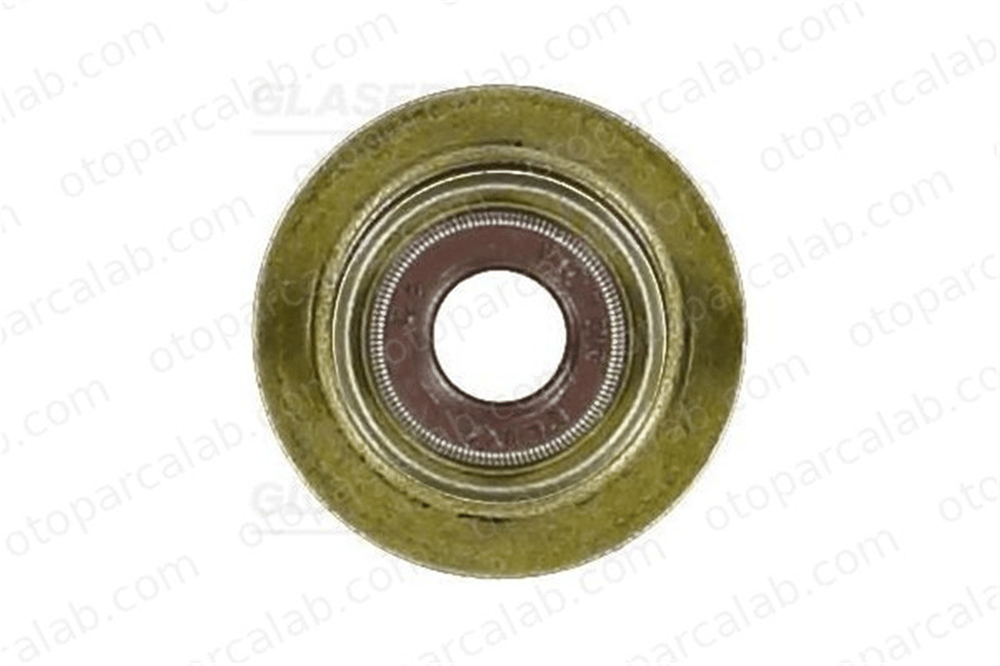 GLASER P76842-00 Supap Lastiği FORD S-MAX KUGA II 6G9Q6571AA 95658