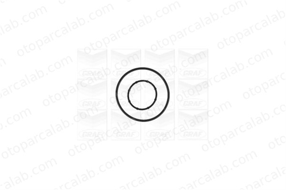 GRAF PA1177 Devirdaim Su Pompası HYUNDAI i30 i30 Station wagon 251002A300