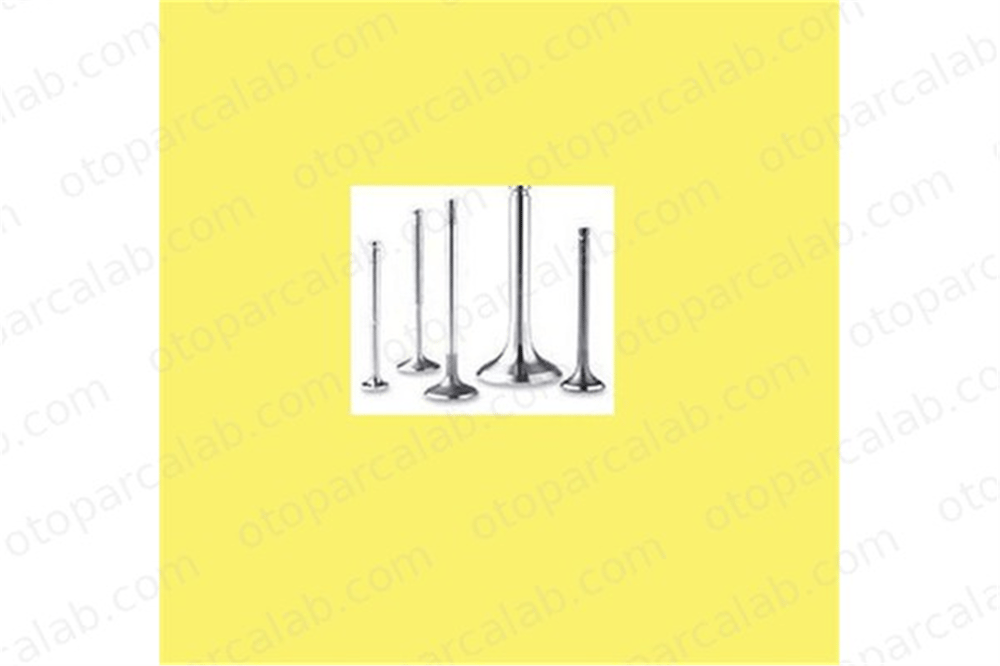 GUNES 4476-4477 Supap GÜNEŞ 4476-4477 PEUGEOT 405 I CITROËN BX 94875 94981