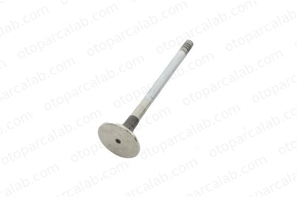 GUNES 4788-4789 Supap GÜNEŞ 4788-4789 LAND ROVER RANGE ROVER IV JAGUAR XF I 1311281 1316137