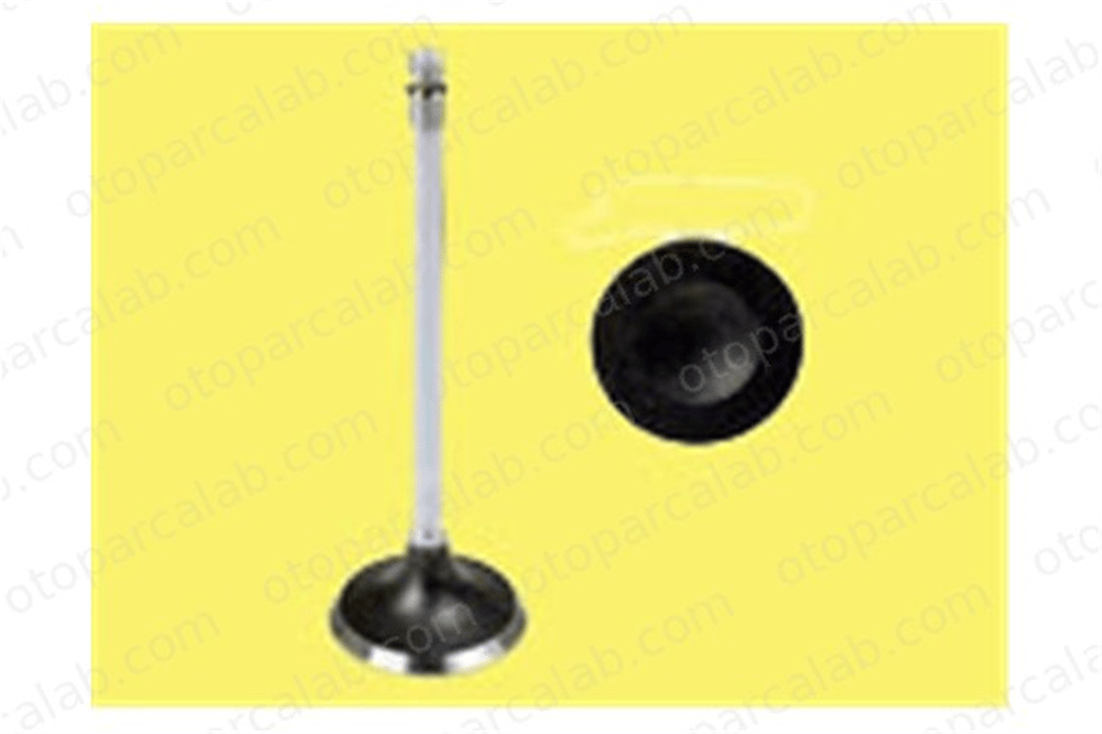 GUNES 5655-5656 Supap GÜNEŞ 5655-5656 TOYOTA CARINA V CARINA V Station wagon 1371174040 1371574020