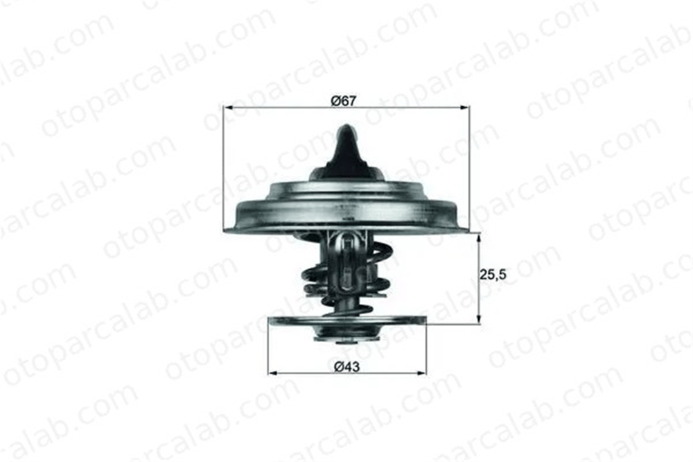 MAHLE TX 18 55D Termostat MERCEDES-BENZ AROCS ACTROS MP4 / MP5 TX 18 55D