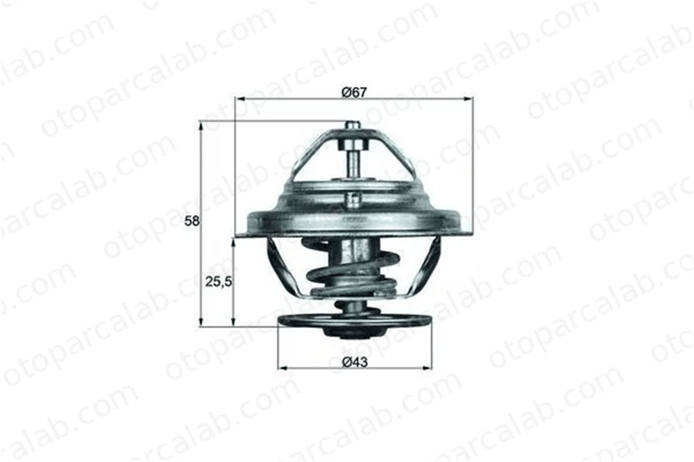 MAHLE TX 19 75D Termostat 75 °C MERCEDES-BENZ S-SERISI SL A1162000015 22037775