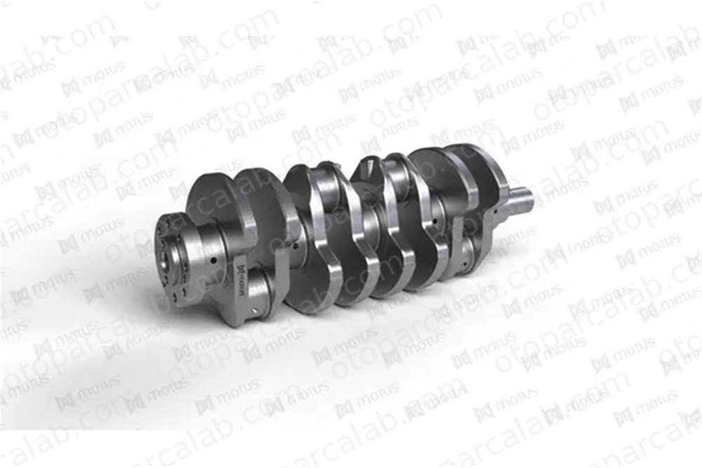 MOTUS 0252 Krank 614044