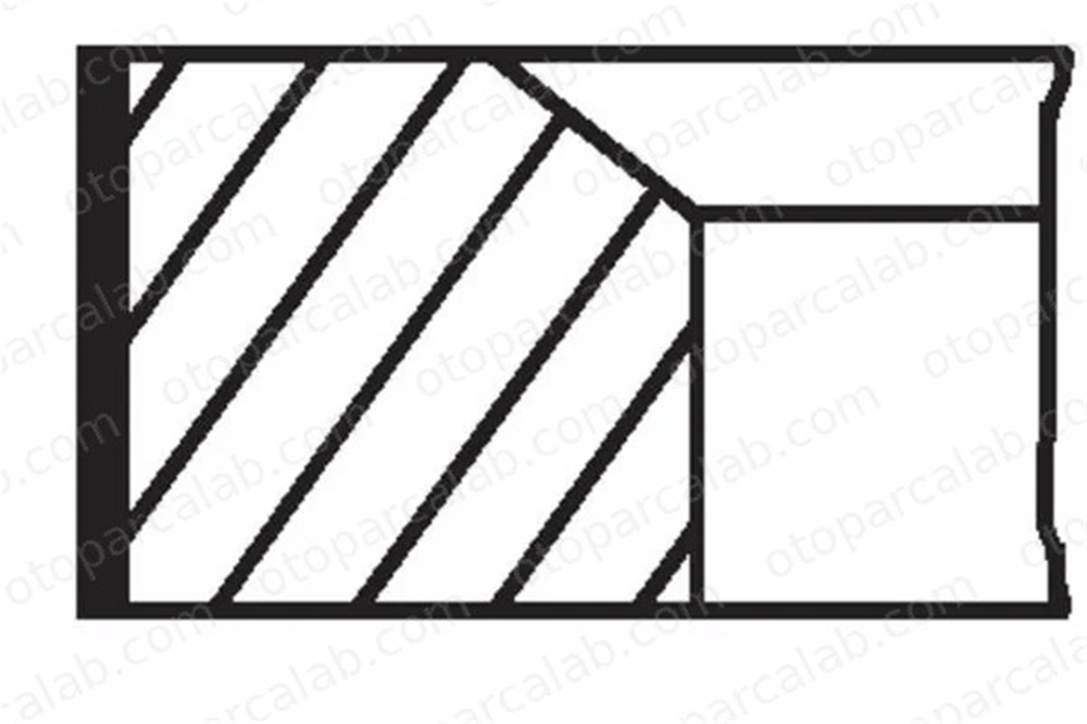 NPR 120038001400 Segman (76.00MM-STD) RENAULT KANGOO Express DACIA DUSTER 120038001400 6070300024