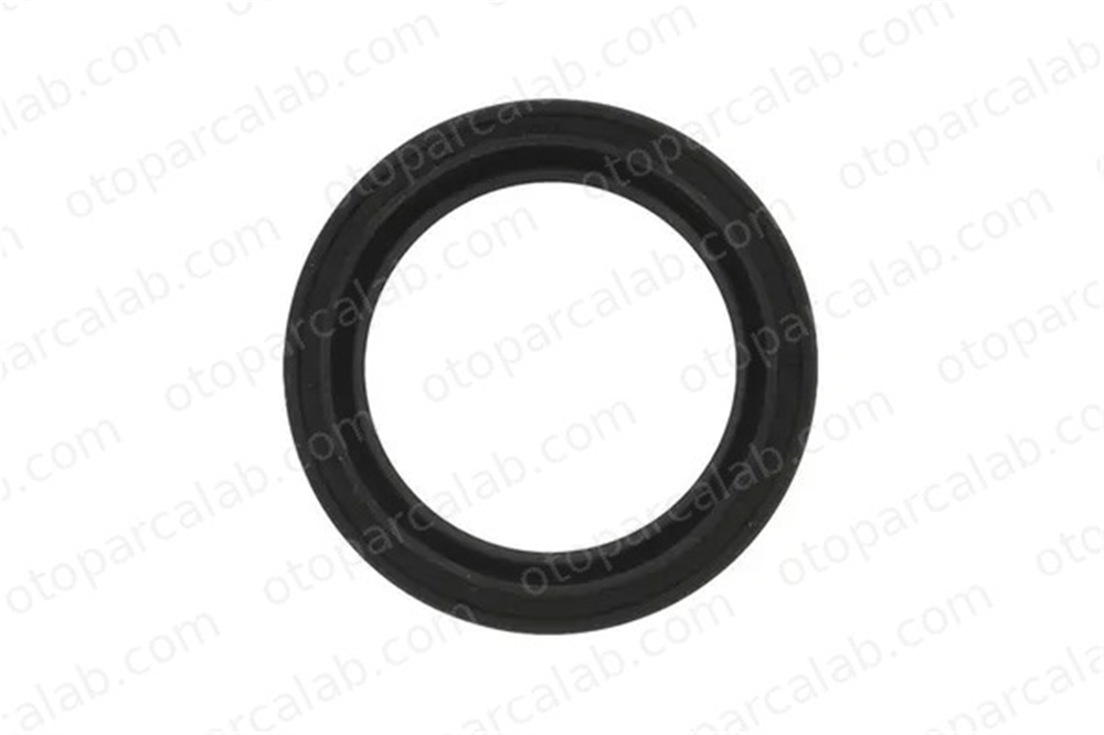 PAYEN NA5486 Aks Keçesi DACIA DUSTER RENAULT LAGUNA II Grandtour 8200884113 8200110847