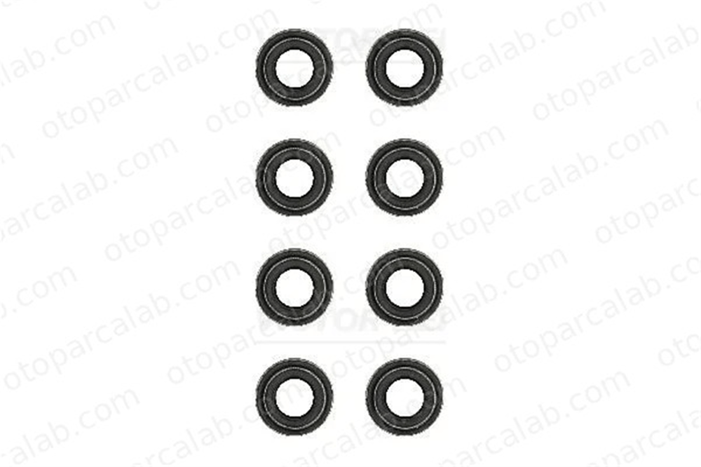 REINZ 12-24276-04 Supap Lastiği INTERNATIONAL HARV. CM-Series B-Series 122427604 532858(x8)