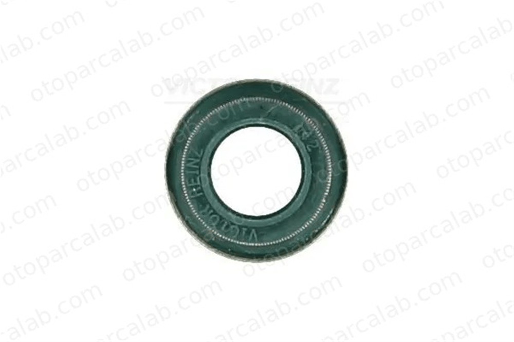 REINZ 70-25837-00 Supap Lastiği CITROËN BX AUDI 100 C3 Sedan 5930415 605041100