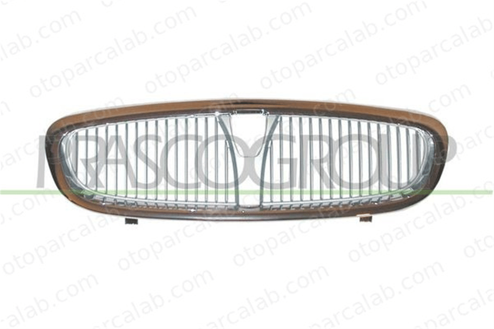TYG 1721-2340 Panjur Ön ROVER 25 I Hatchback DHB102550MM