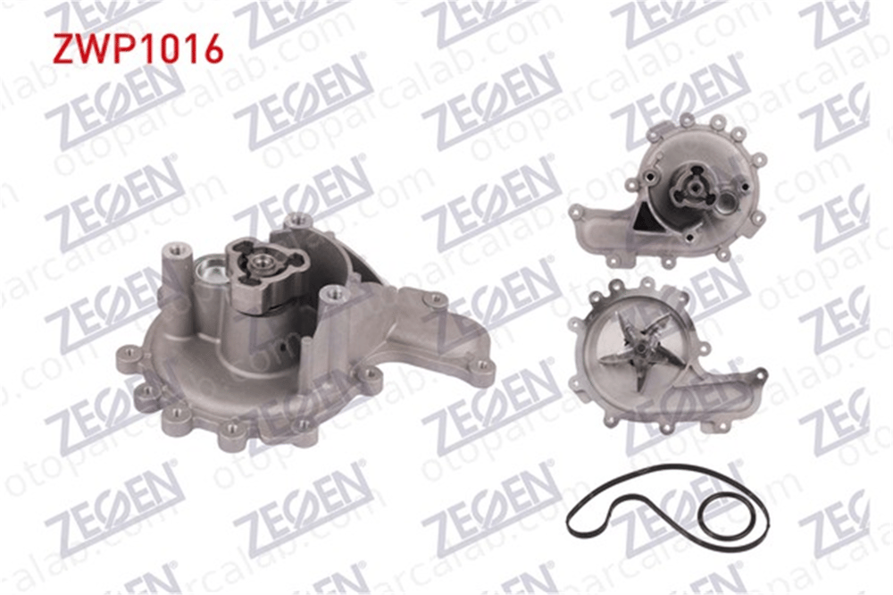 ZEGEN ZWP1016 Devirdaim Su Pompası FORD TRANSIT Minibüs/Otobüs TRANSIT Panelvan/Van 1201H6 1372336