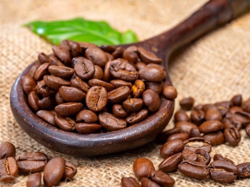 Kahve Çekirdeği 50 gr. Mum Süsleme Malzemeleri