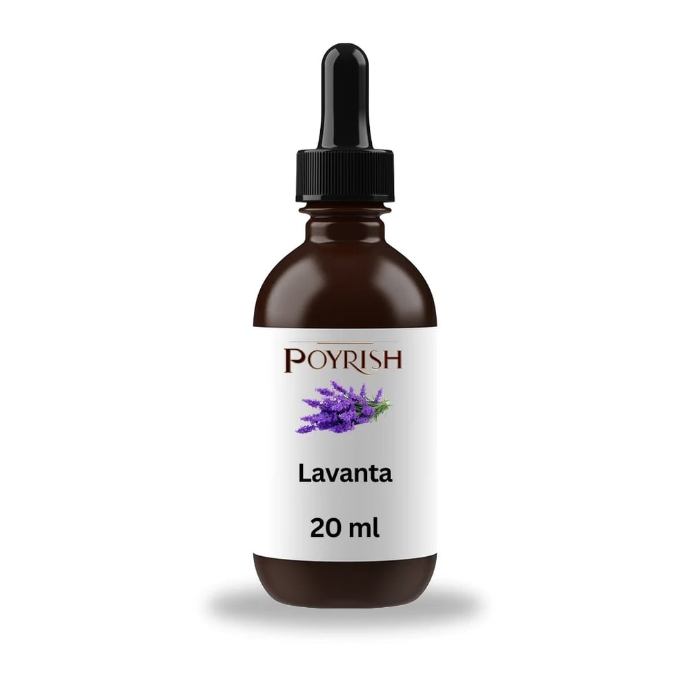 Lavanta Mum Esansı 20 ml.