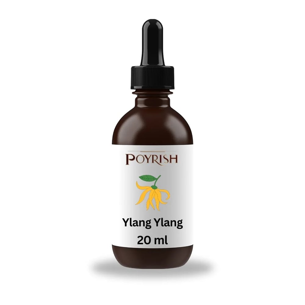 Ylang Ylang Mum Esansı 20 ml.