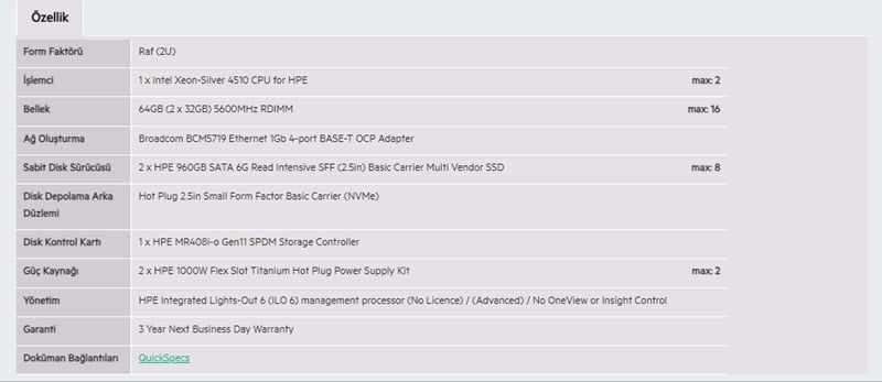 HPE DL380 Gen11 Silver 4510-64G-2x960G-2U (P71674)