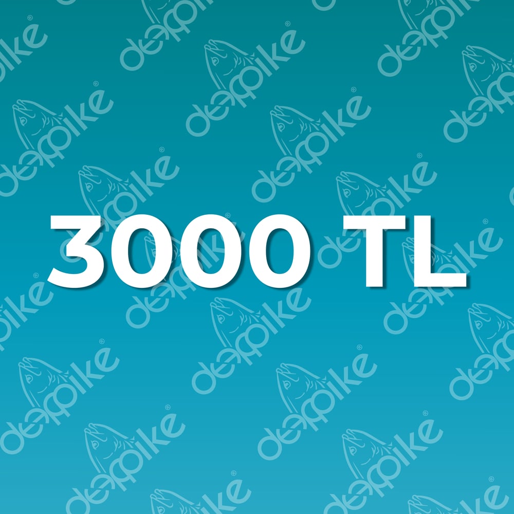 Cari Ödeme | 3000 TL