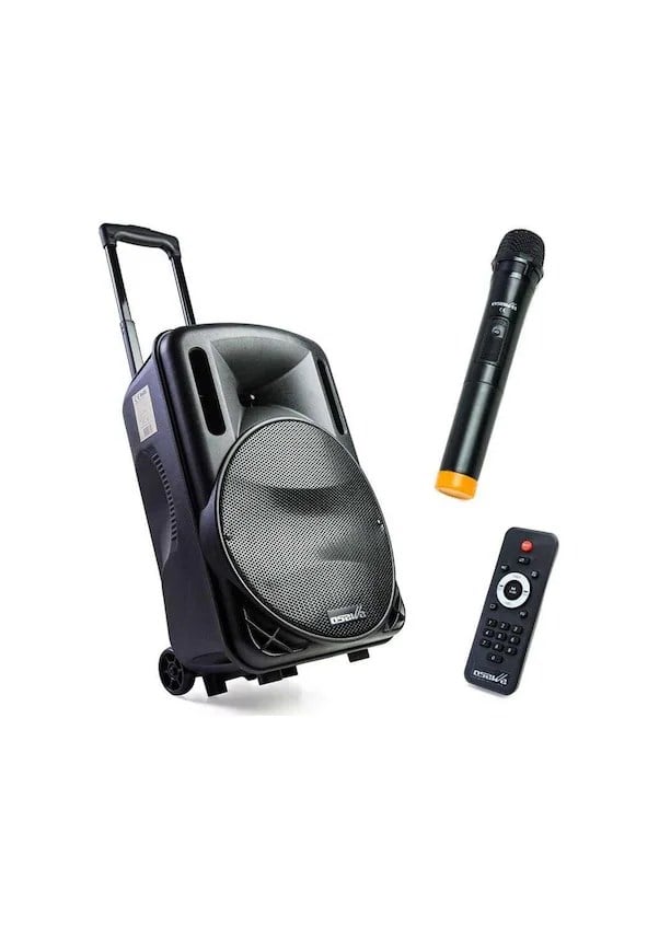 Osawa OSW-9130 Taşınabilir Ses Sistemi