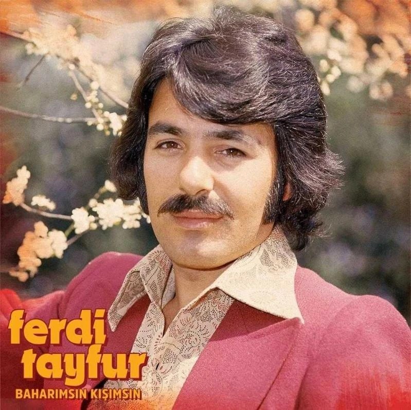 Ferdi Tayfur - Baharımsın Kışımsın - Plak