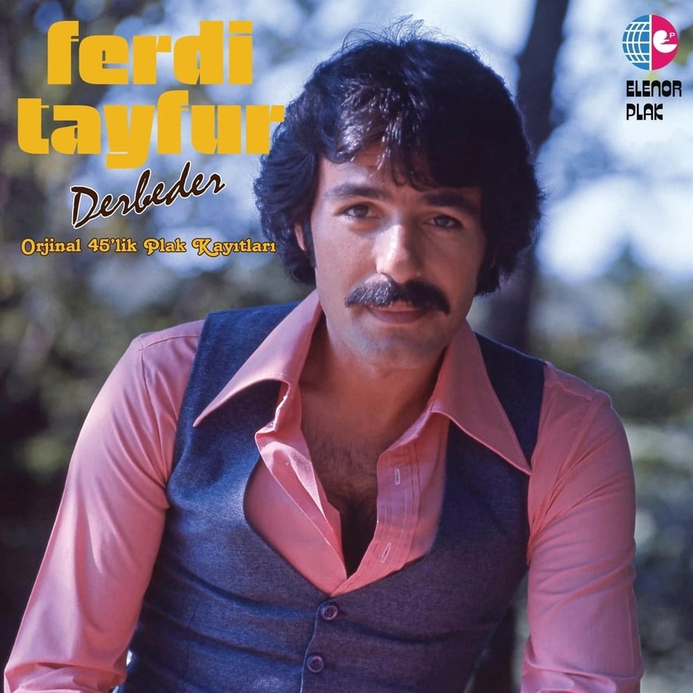 Ferdi Tayfur - Derbeder - Plak