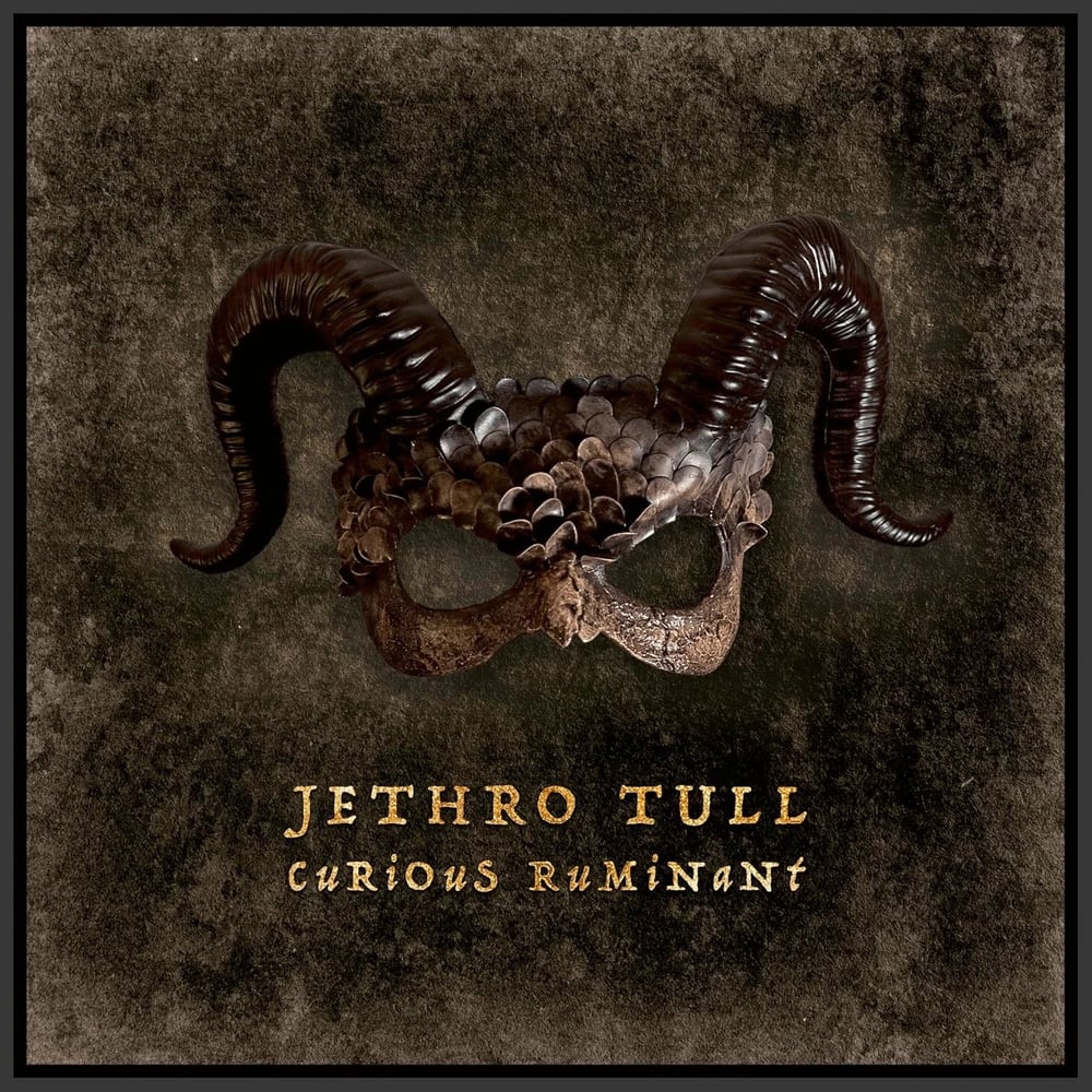 Jethro Tull - Curious Ruminant - Plak