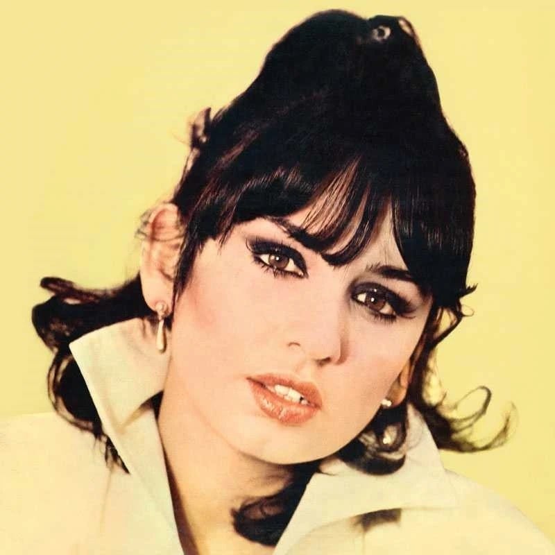 Sezen Aksu - Allahaısmarladık - Plak