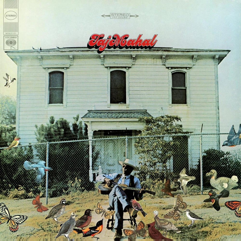 Taj Mahal - Taj Mahal - Plak