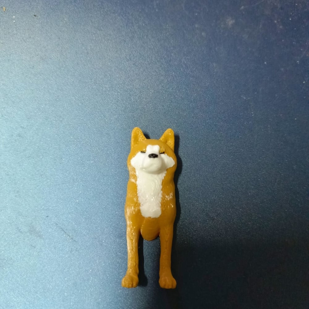 Akita Magnet