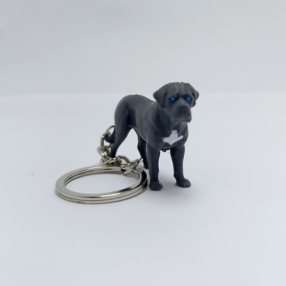 Cane corso - Gri  - Anahtarlık