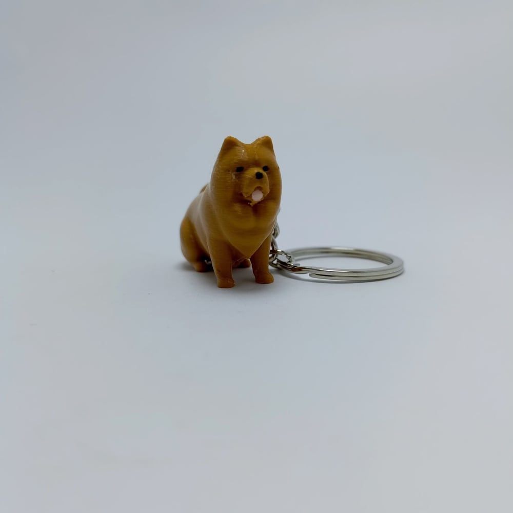 Chow chow - Anahtarlık