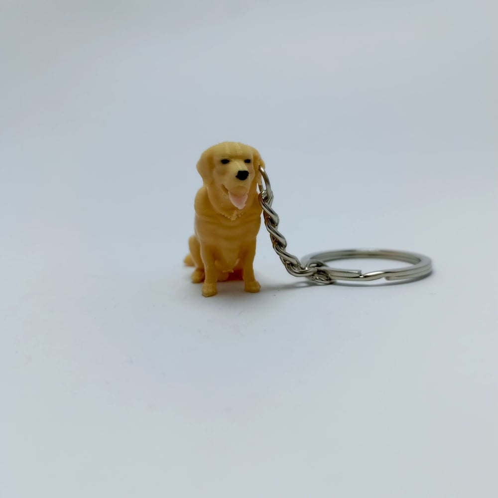 Golden Retriever - Anahtarlık