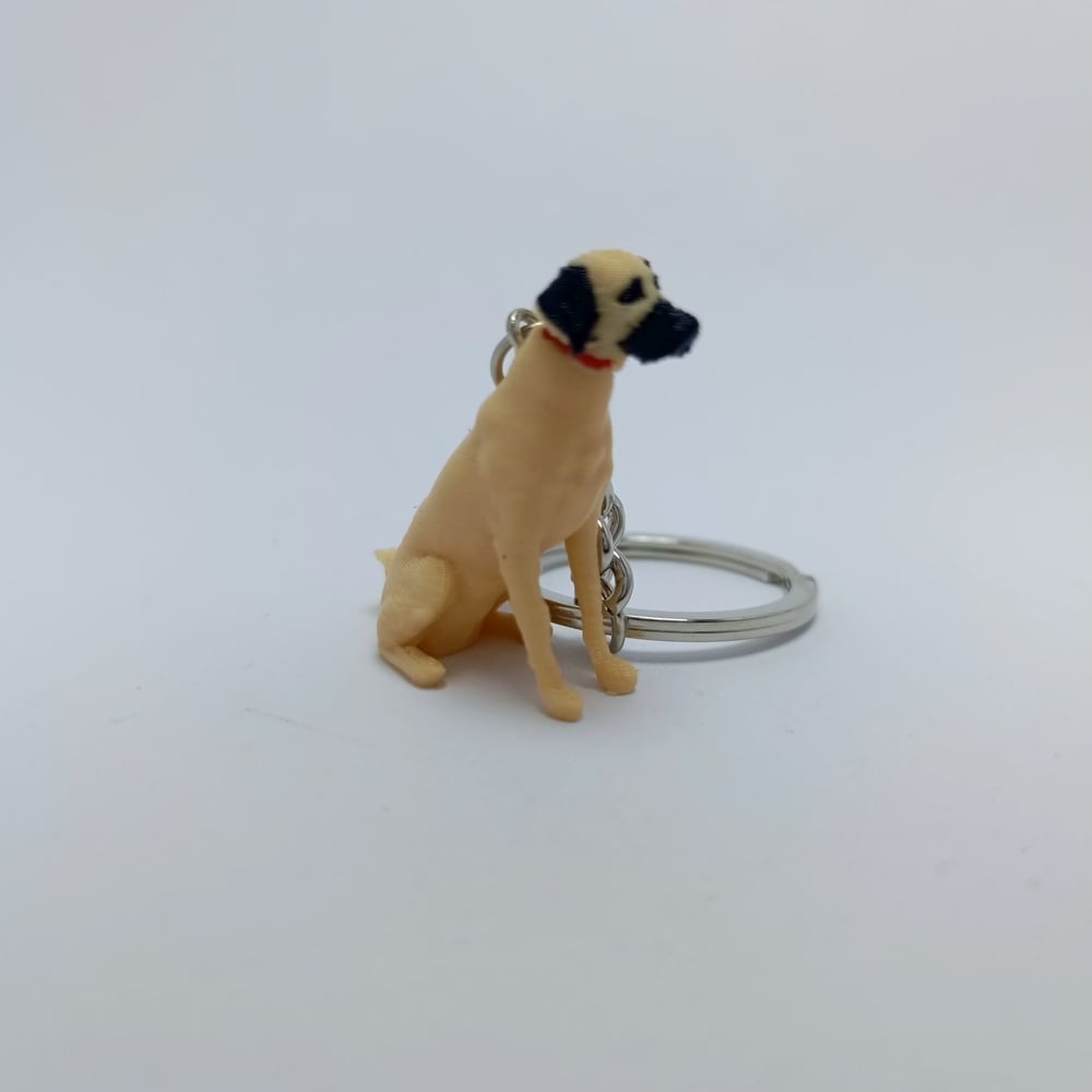 Kangal - Anahtarlık